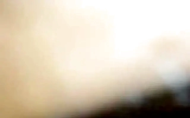 Christmas Milf Oral Cum Compilation
